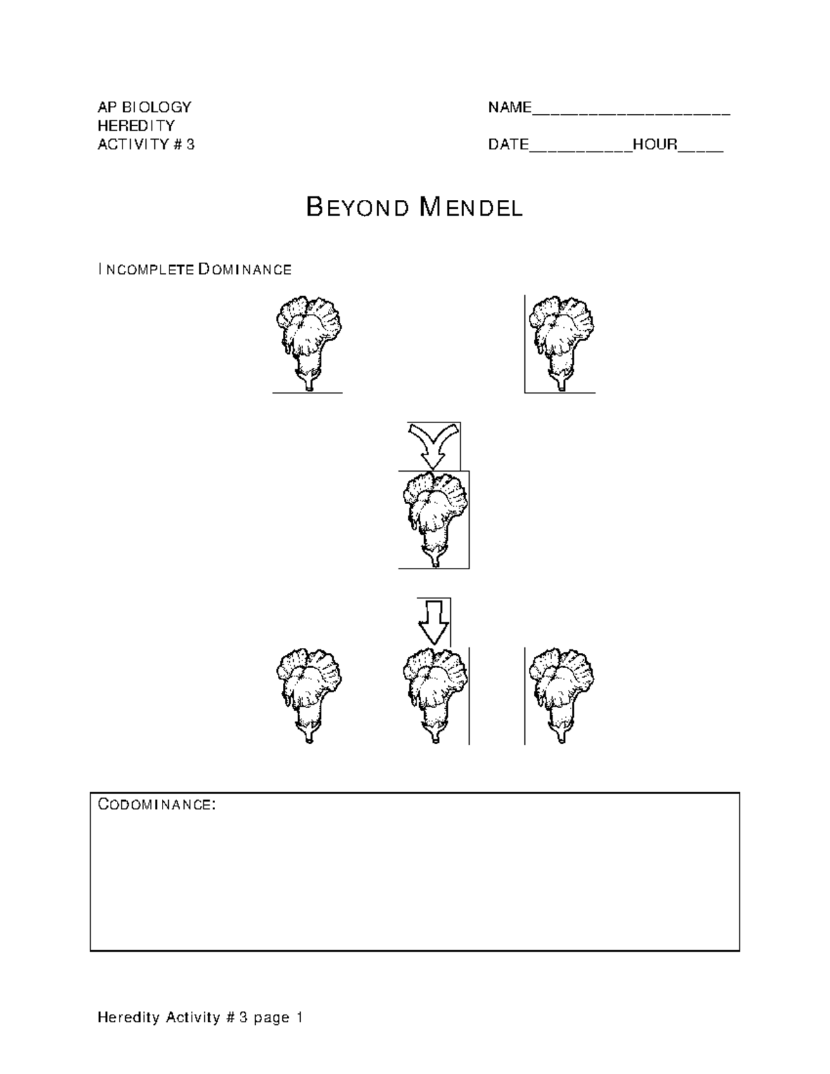 Beyond Mendel: Calculating 5Th Generation Allele Frequencies - c4651sw