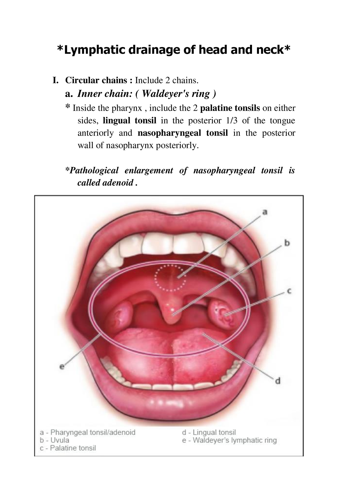 Lymphatic Drainage Of Head And Neck Circular Chains Include 2 Chains A Inner Chain