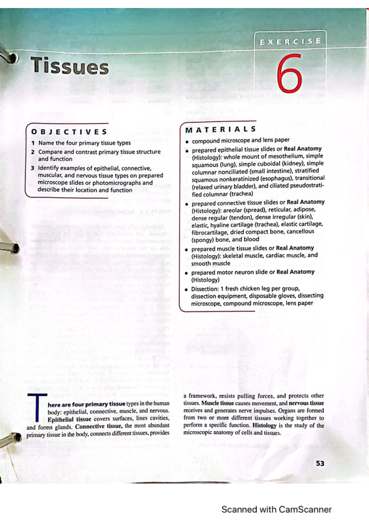 Biol Tissues First Part - EX E R C I Tissues 6 OBJECTIVES MATERIALS 1 ...