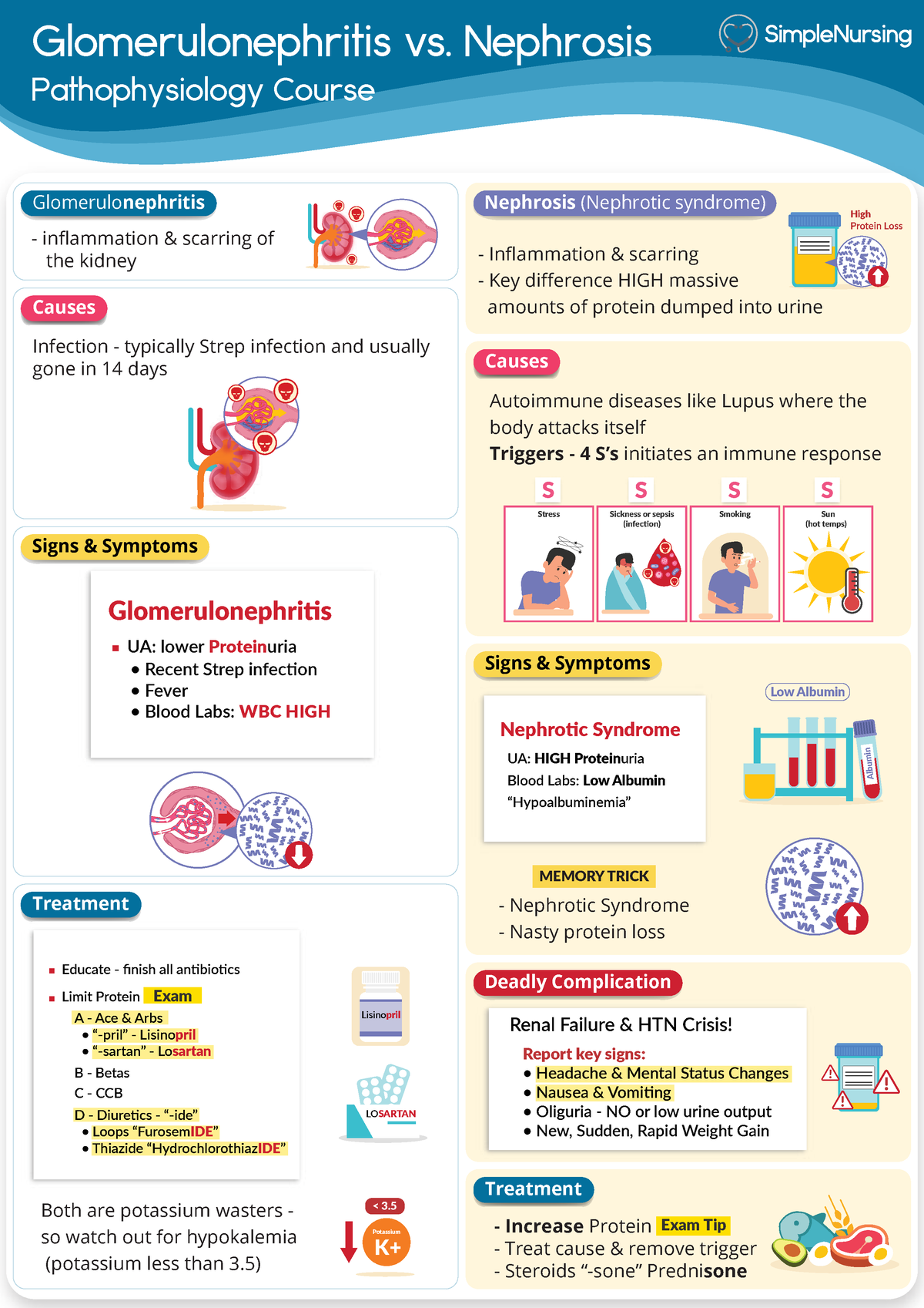 5.-Glomerulonephritis-Nephrosis - Glomerulonephritis vs. Nephrosis ...