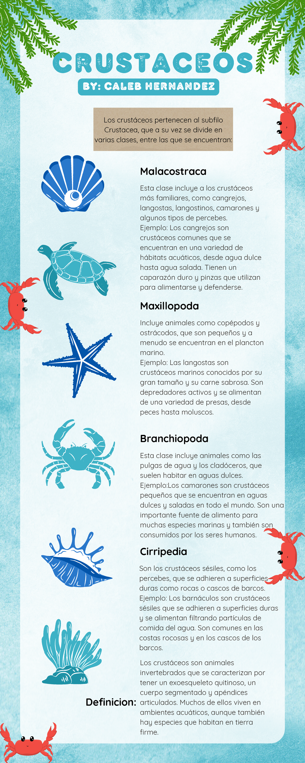 Infografia Crustaceos - Crustaceos By: Caleb hernandez Esta clase ...
