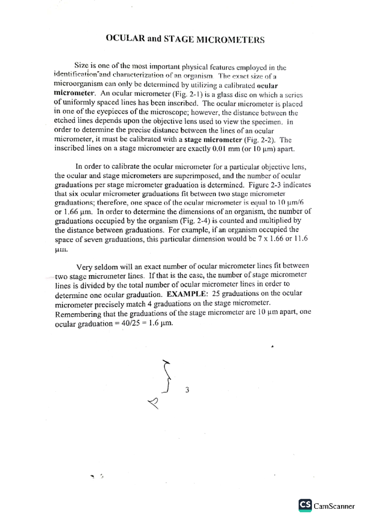 Ocular and Stage Micrometers Biology Lecture Notes bs biology
