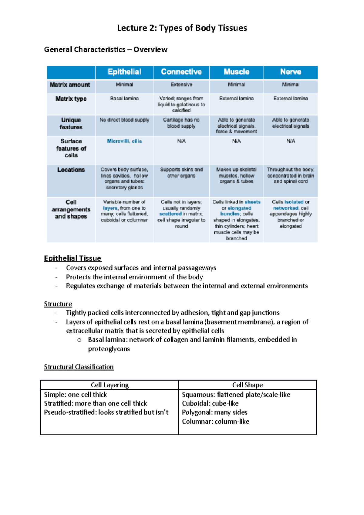 L2 - Lecture notes 2 - General Characterisics – Overview Epithelial ...