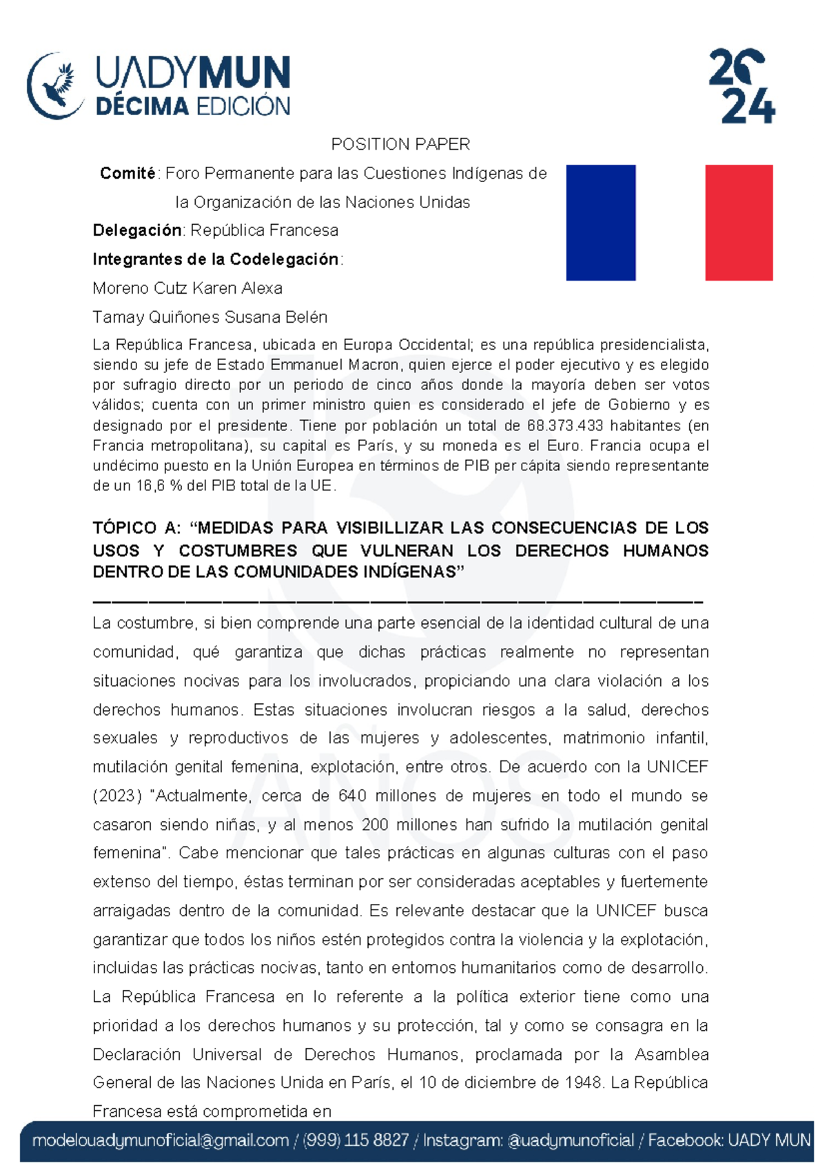 Position Paper Francia - POSITION PAPER Comité: Foro Permanente para ...