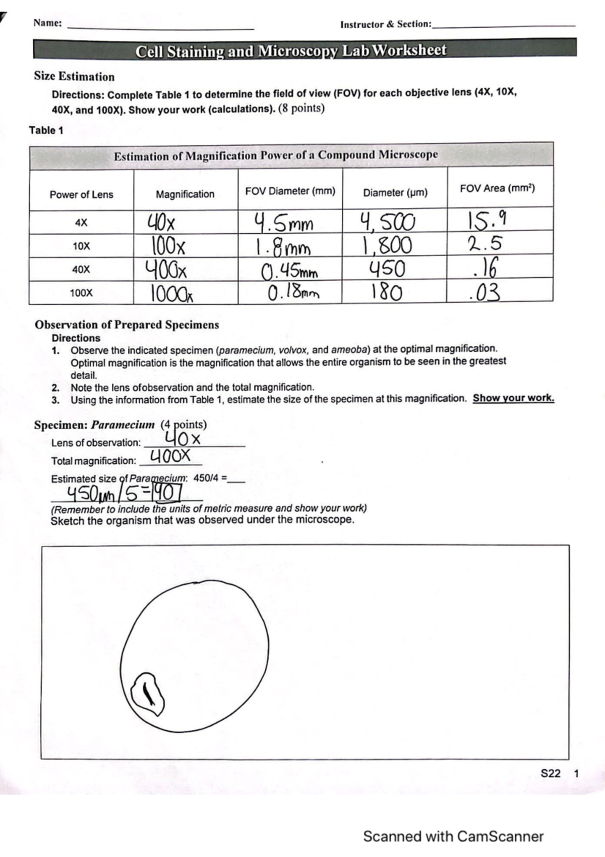 cell staining and microscopy worksheet Name Instructor Section Cell Staining and Microscopy