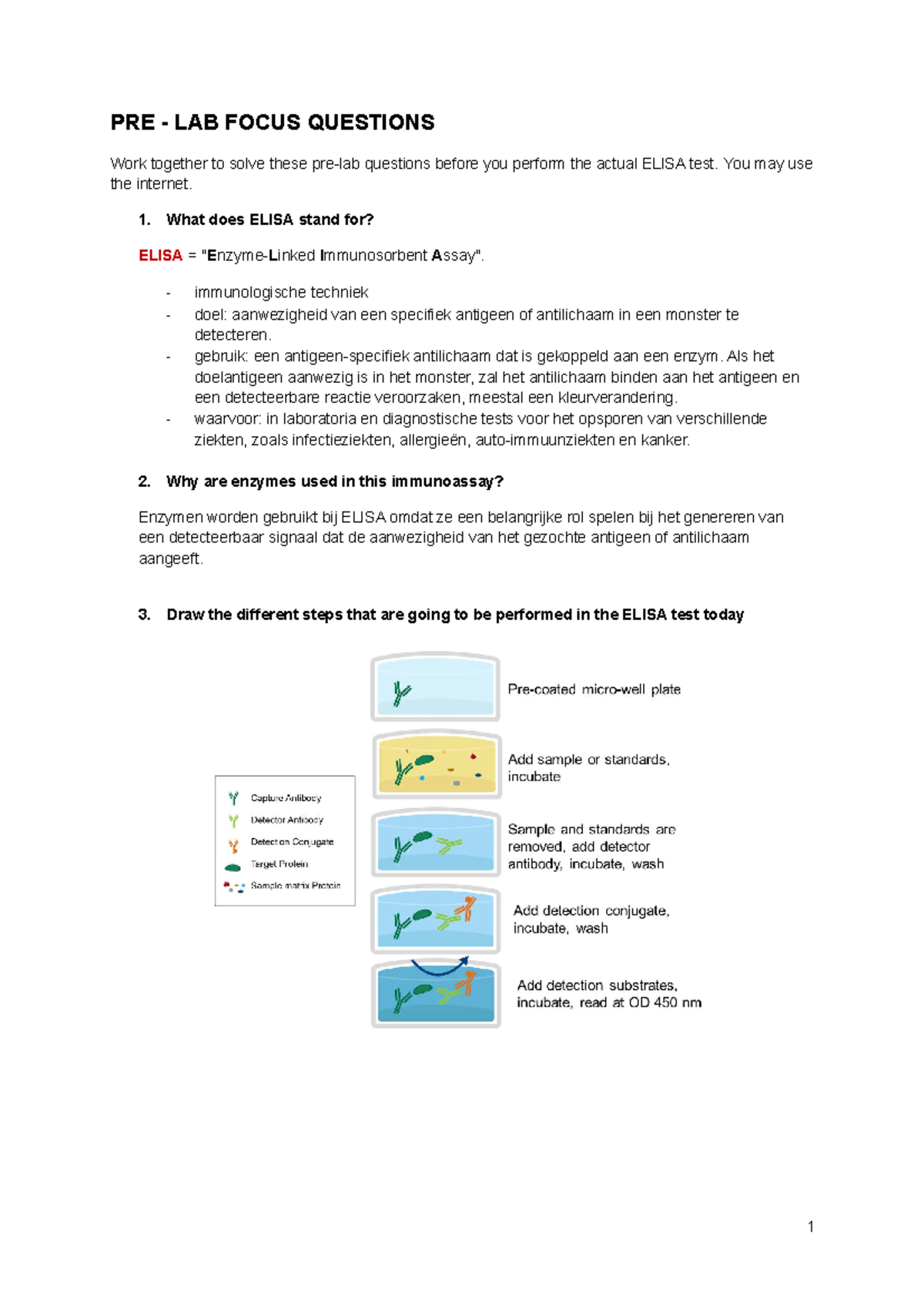 Prelab And Postlabquestions Pre Lab Focus Questions Work Together To Solve These Pre Lab 5437