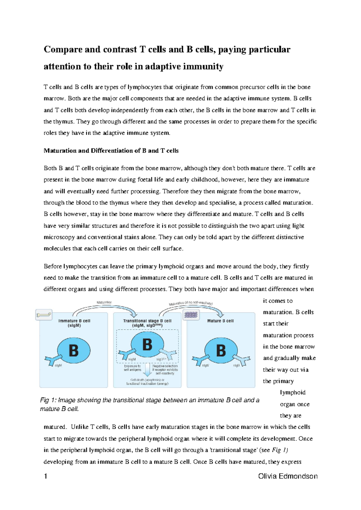 Essay: Compare B & T Cells: Immunology & Microbiology - Compare And ...