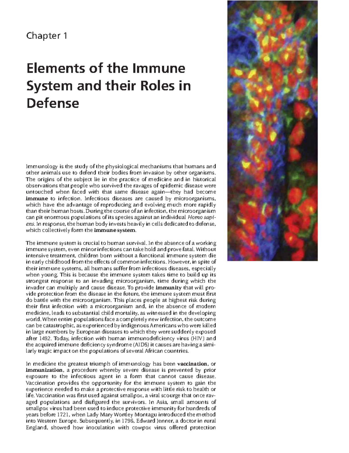 Elements of IS and their roles - Elements of the immune system and ...