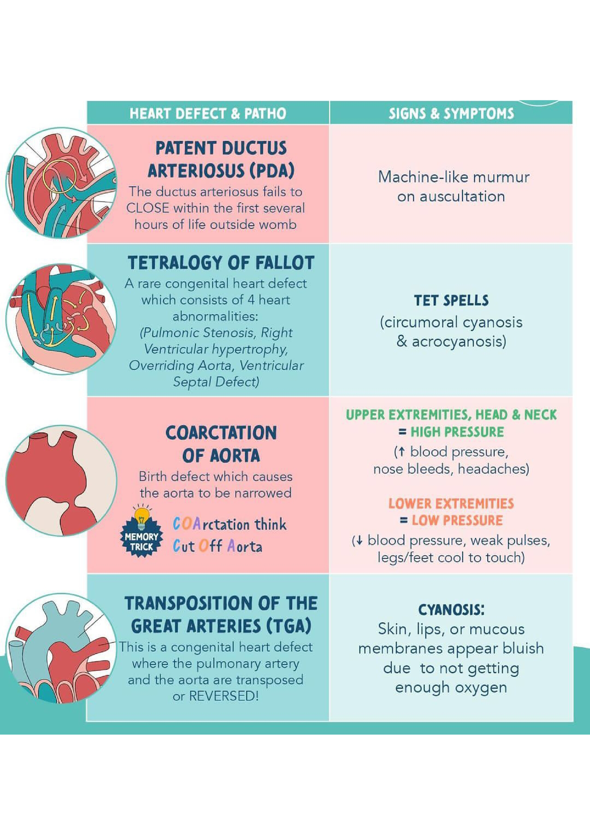 pediatric-heart-conditions-bsc-nursing-studocu