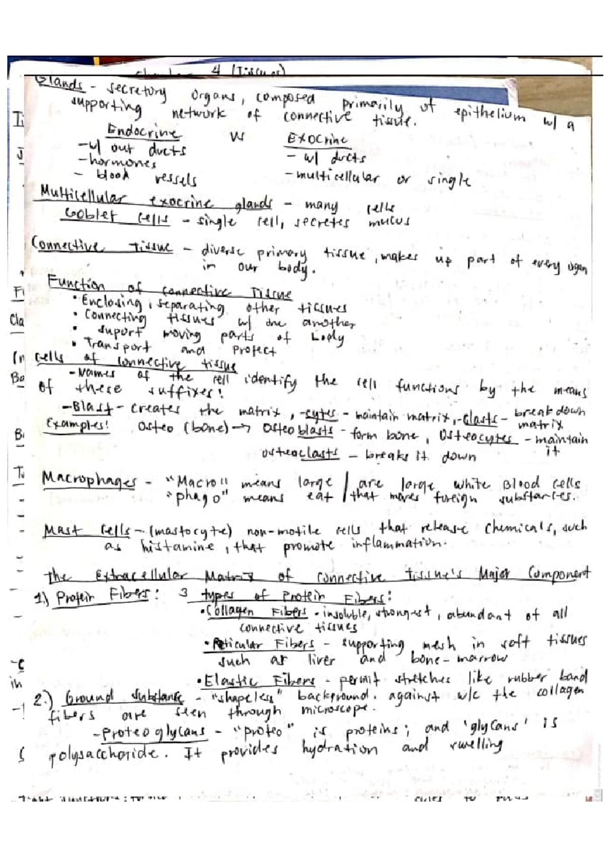 Tissue Note - Anaphy Note - Bs Chemistry - Studocu