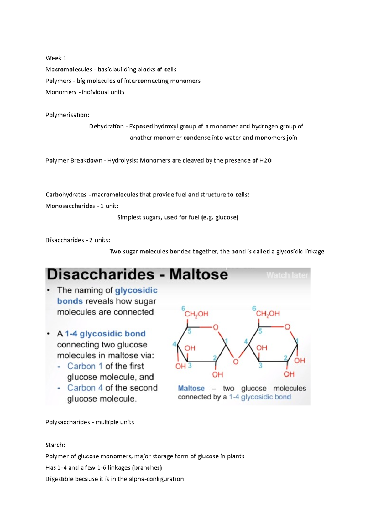 Module 1 BIOL1020 Notes - Week 1 Macromolecules - basic building blocks ...