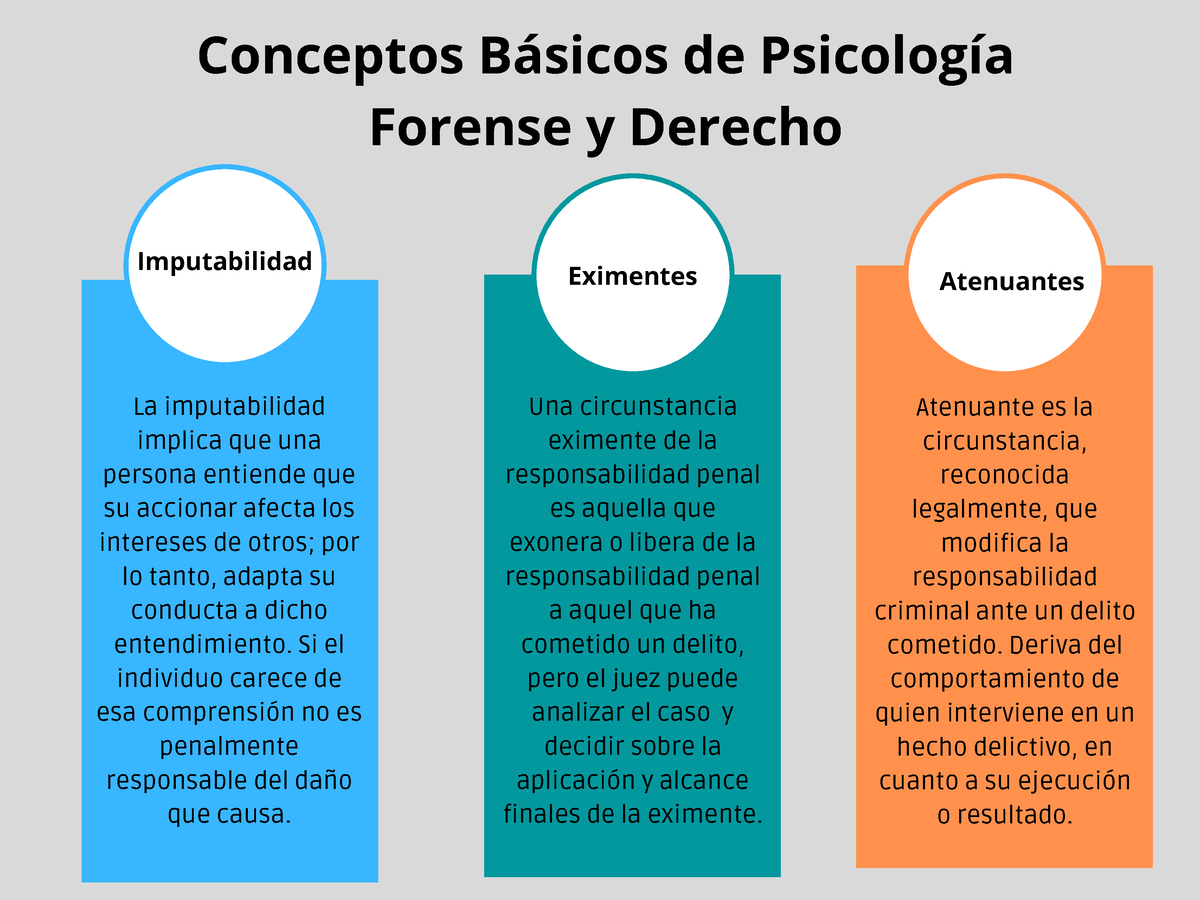 Conceptos Basicos De Psicologia Forense Y Derecho Conceptos B Sicos De Psicolog A Forense Y