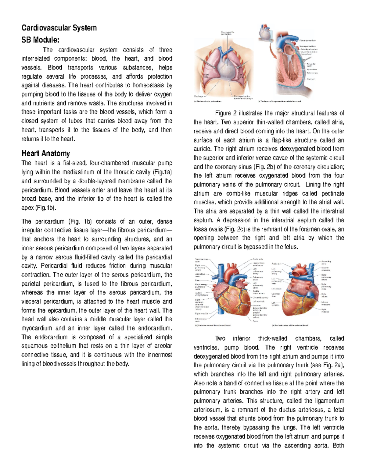 Cardiovascular System - Fundamentals of Biology - La Salle - Dasma ...