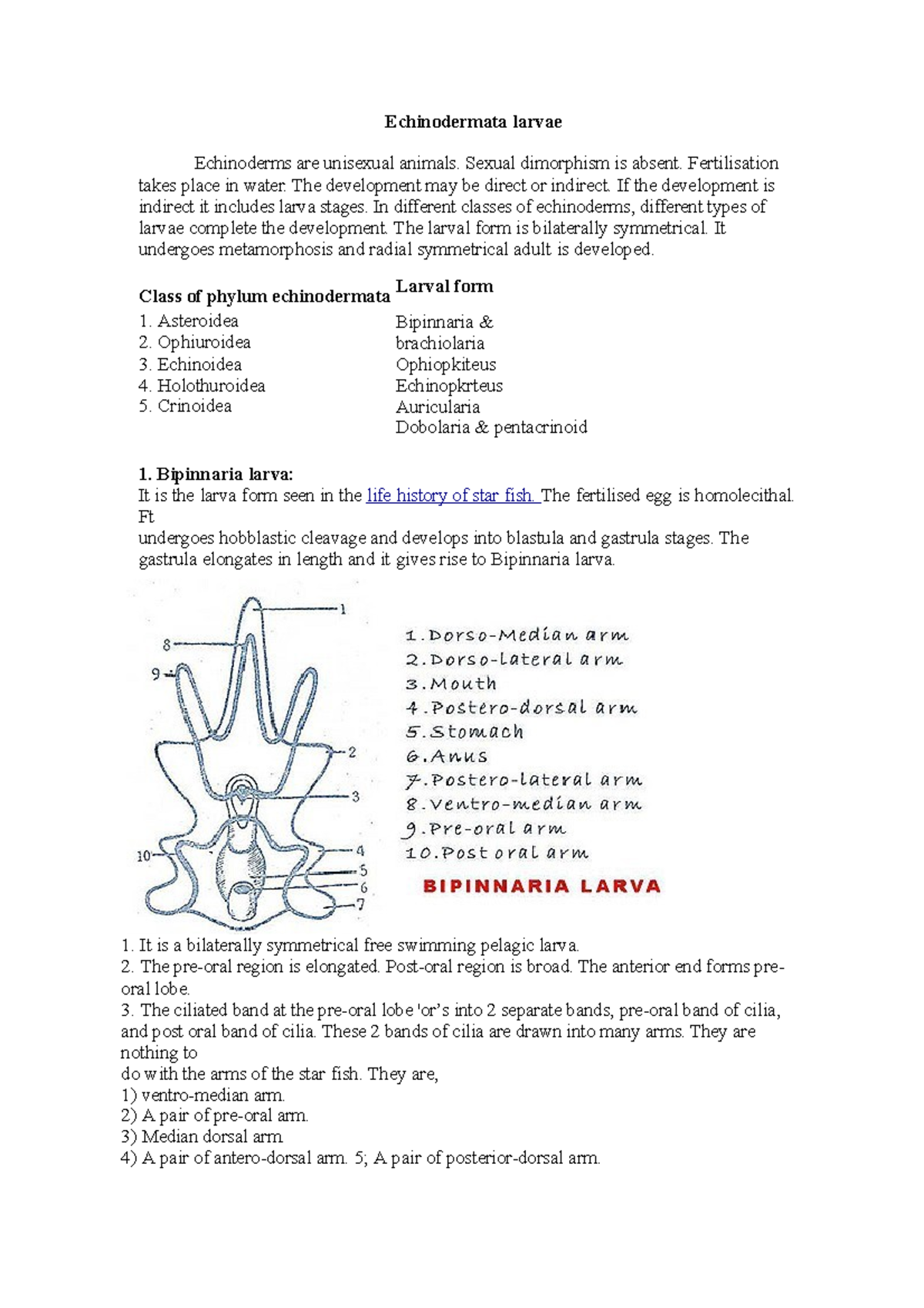 Echinodermata larvae Echinodermata larvae Echinoderms are unisexual