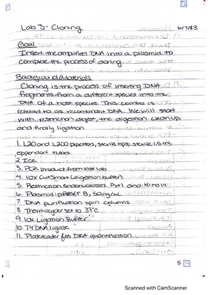 Metodology of Isolation and Characterization of DNA - LAB REPORT ...