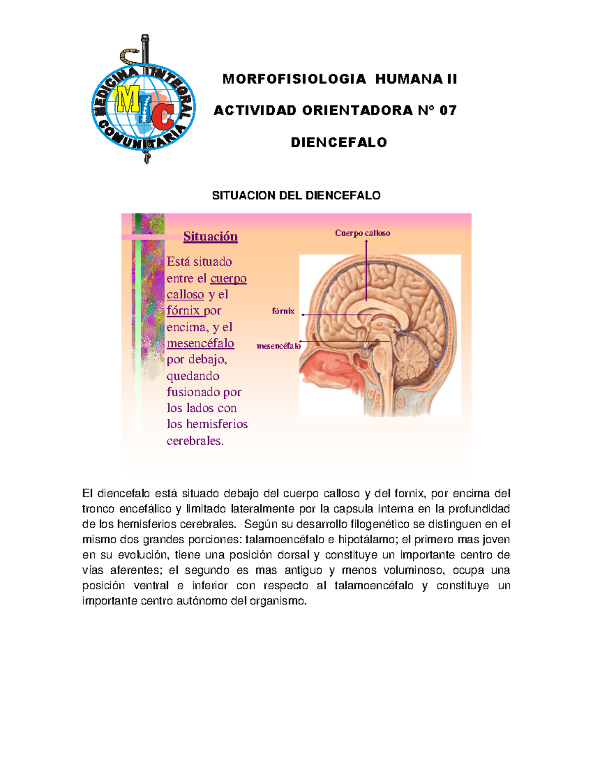 MFH+II+-+AO+07 - Guia - MORFOFISIOLOGIA HUMANA II ACTIVIDAD ORIENTADORA ...