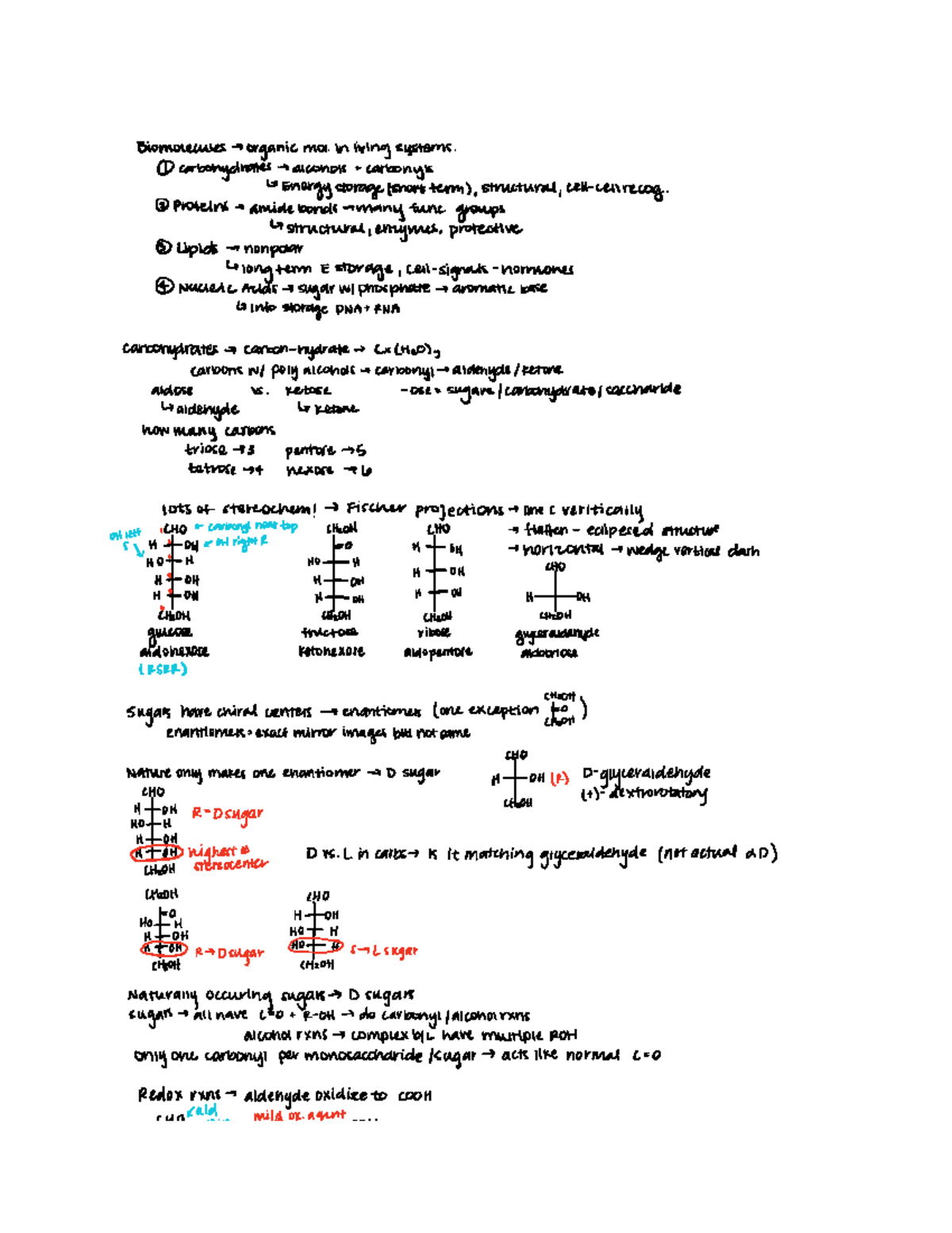 Biomolecules Lecture notes 1821 Biomolecules organic moiin living