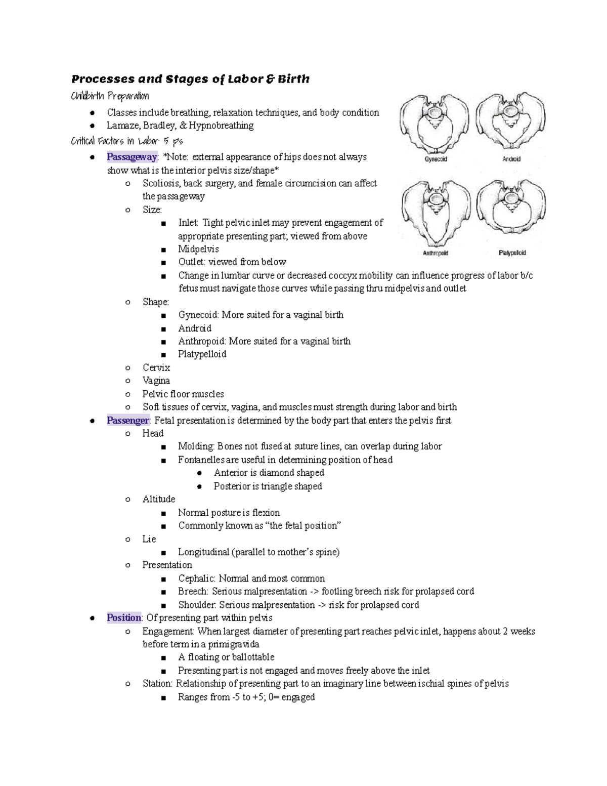 Women's Health Exam 2 Study Guide Labor, Intrapartum, Grief and Loss