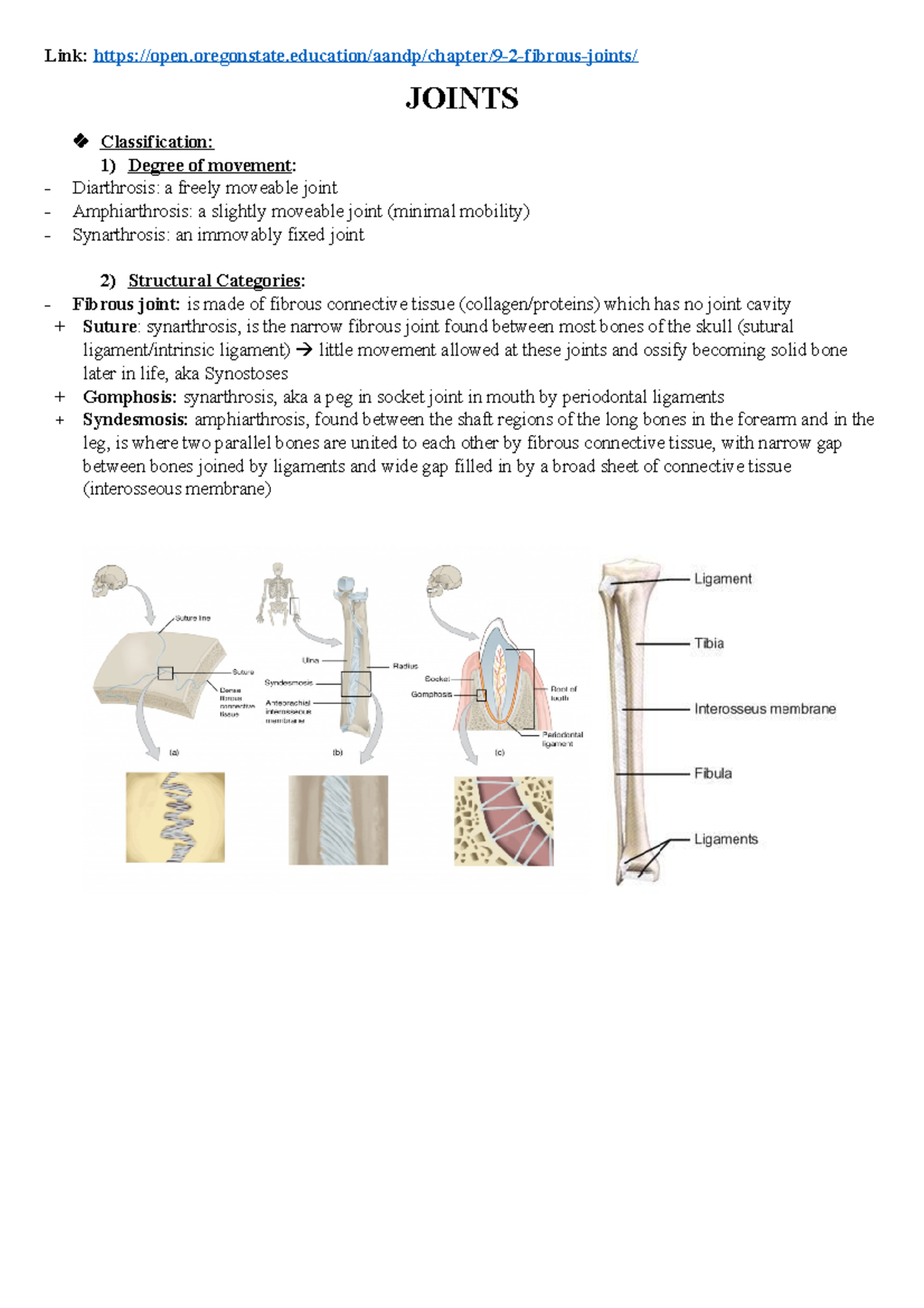 Anatomy for Anatomy and Physiology in 2012/2013 ANAT90011 Unimelb