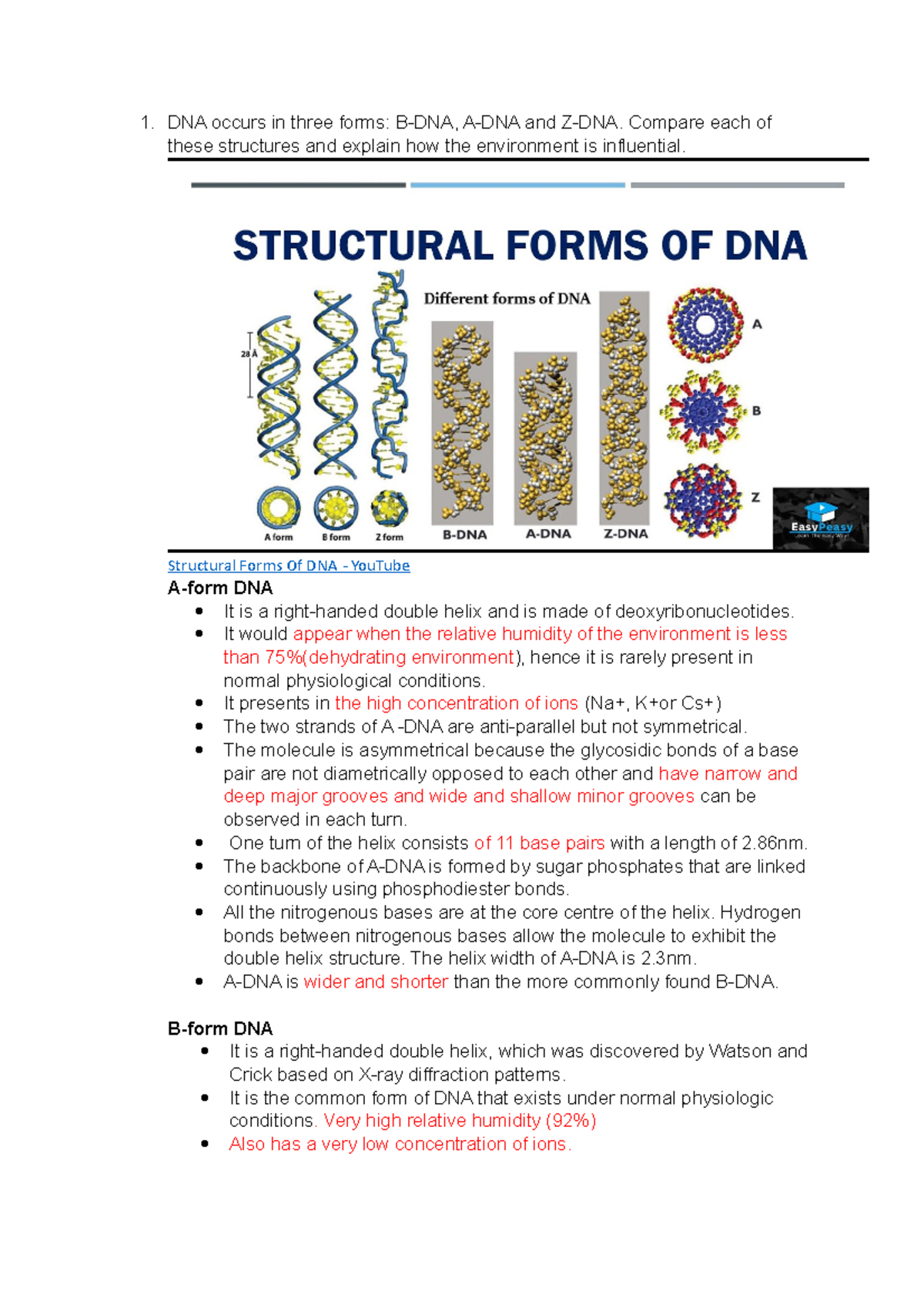 Homework Lecture 1 - DNA Occurs In Three Forms: B-DNA, A-DNA And Z-DNA ...