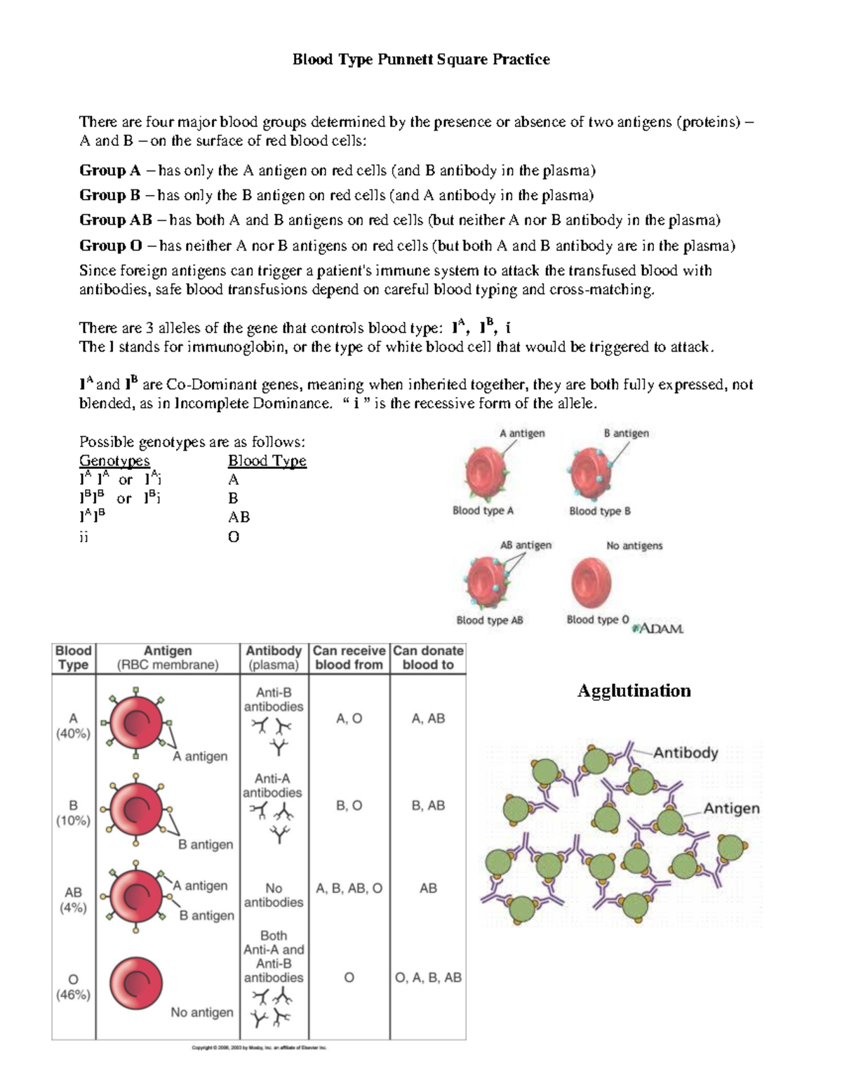 6-blood-type-punnett-square-practice answers and more - Blood Type Punnett  Square Practice There are - Studocu