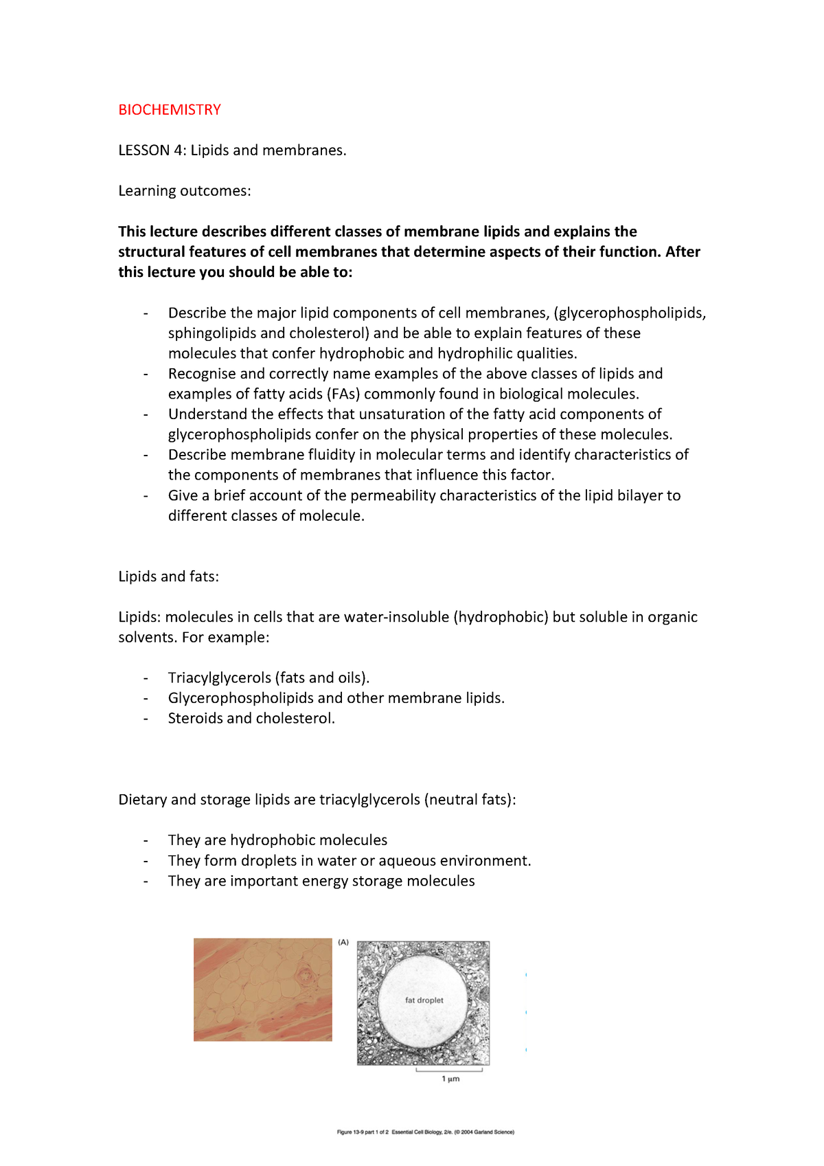 Lesson 4 Biochemistry Lipids And Membranes - BIOCHEMISTRY LESSON 4 ...