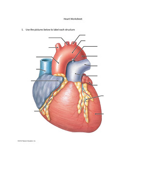 BIO 202L Topic 2 RS Terms List Blood And Lymphatic System - BIO-202L ...