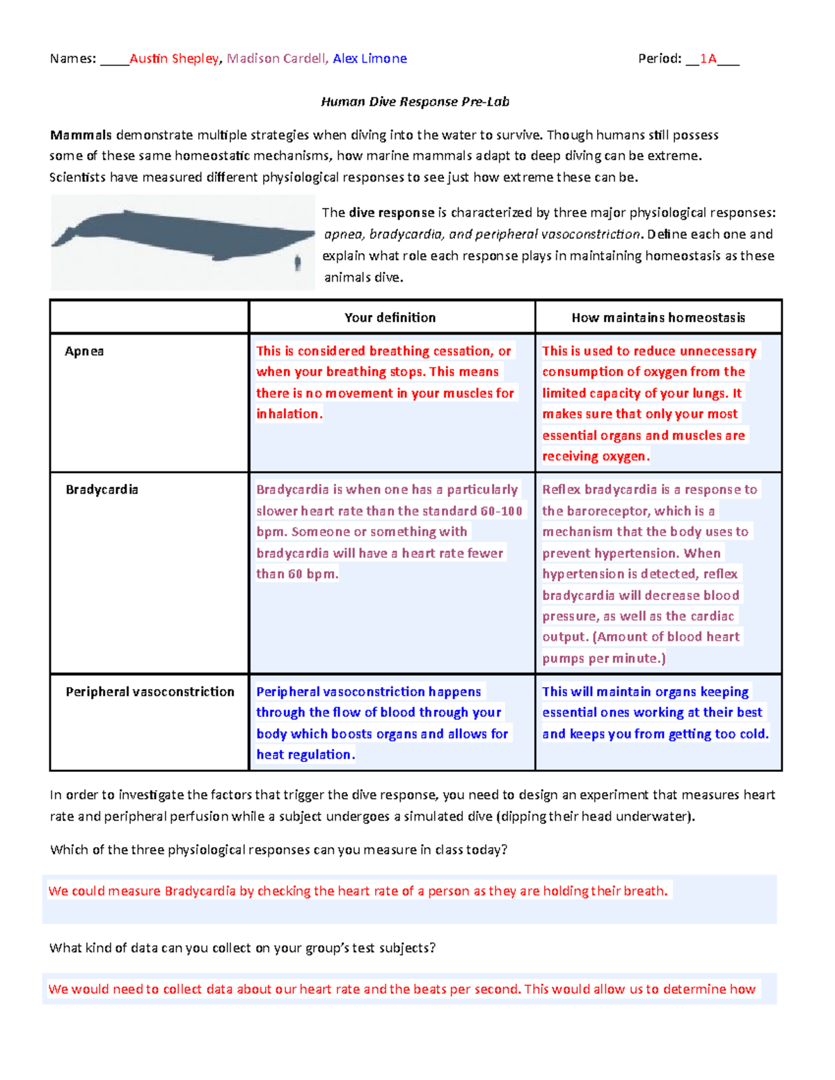Copy of Homeostasis Human Dive Response Pre-Lab - Names: ___Austin
