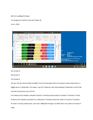 ACC 411 Module Two Data Analytics Activity Template - ACC411 - SNHU ...