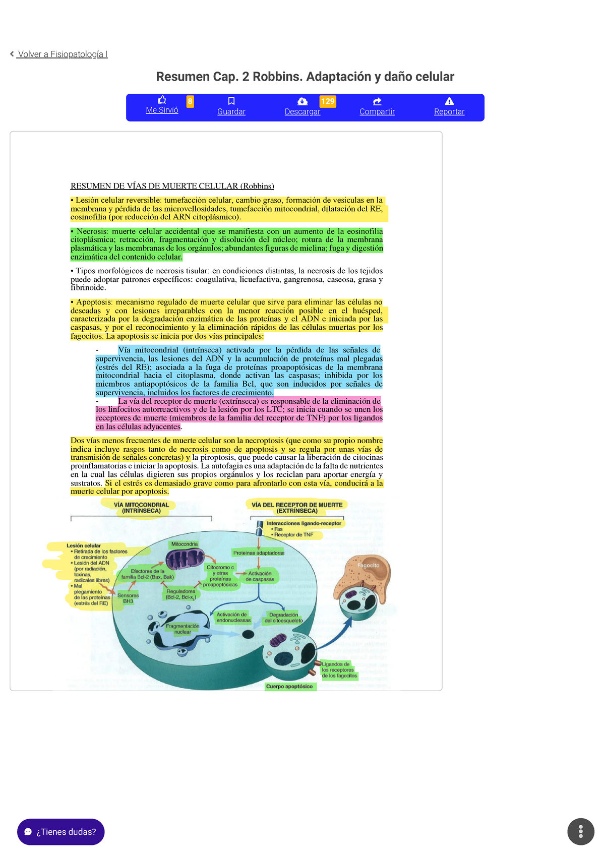 Resumen Cap. 2 Robbins. Adaptación Y Daño Celular Fisiopatología I ...