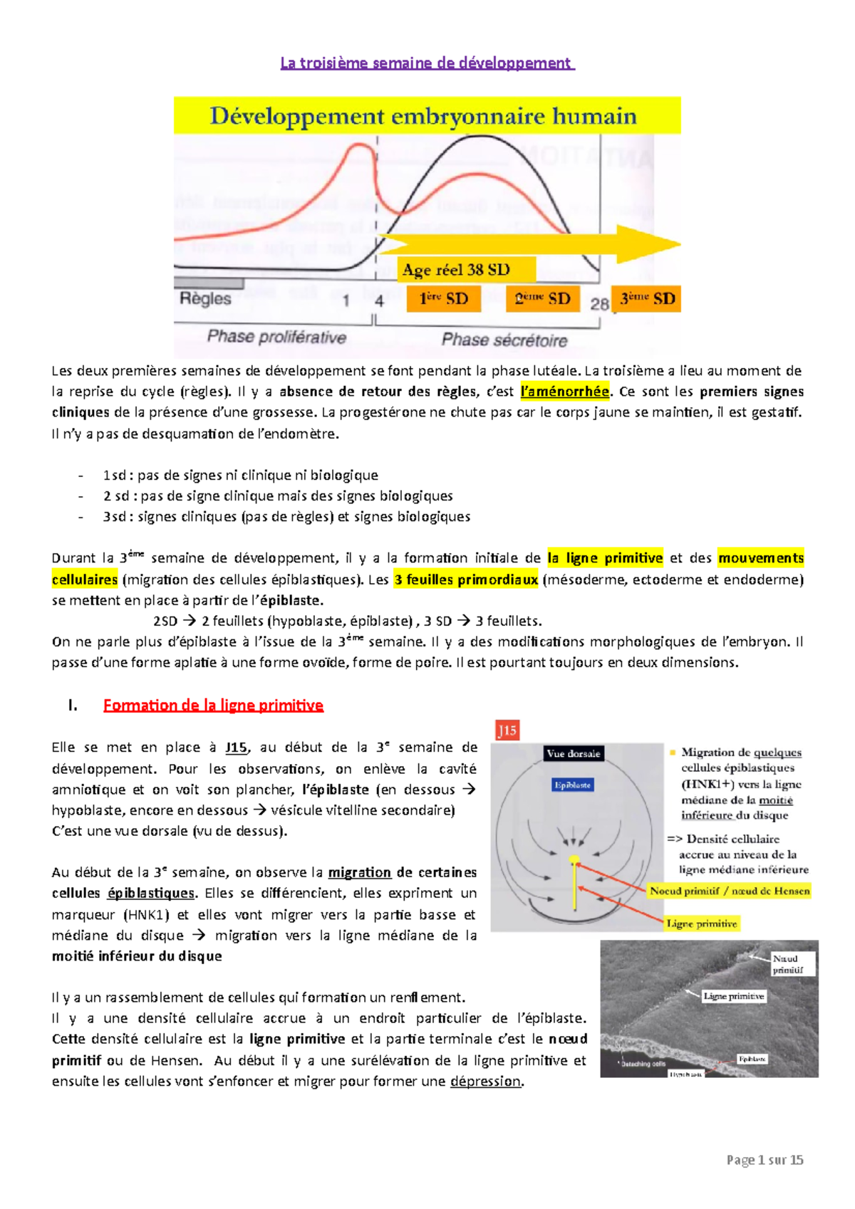 E Semaine De D Veloppement La Troisi Me Semaine De D Veloppement Les Deux Premi Res Semaines