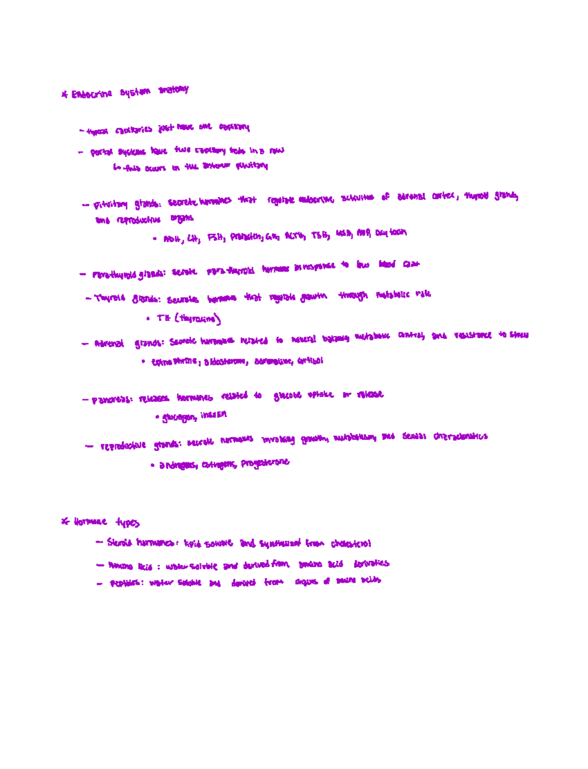 Lab 6 wrap up assignment - Endocrine system anatomy typical ...