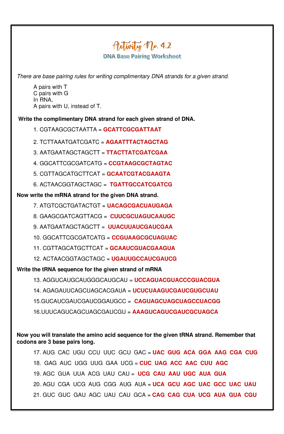 DNA Base Pairing Activity There Are Base Pairing Rules For Writing 