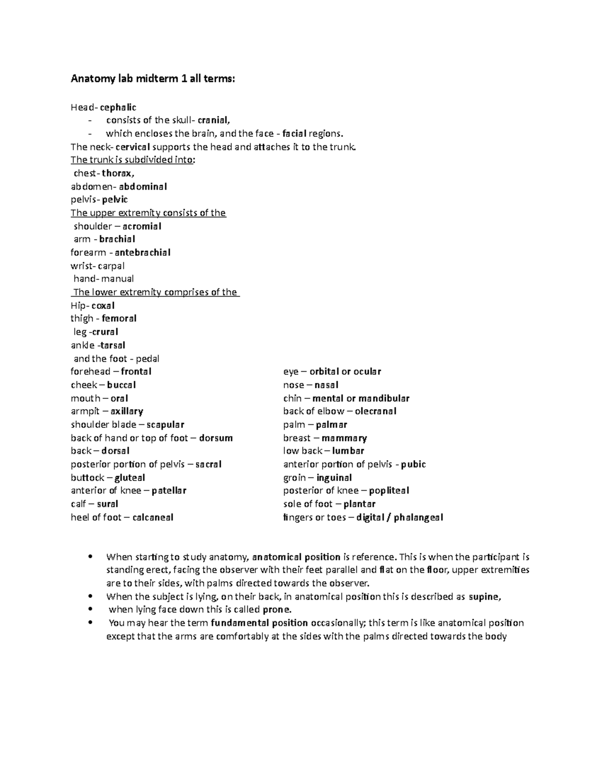 Anatomy lab midterm 1 lab 14 Anatomy lab midterm 1 all terms Head