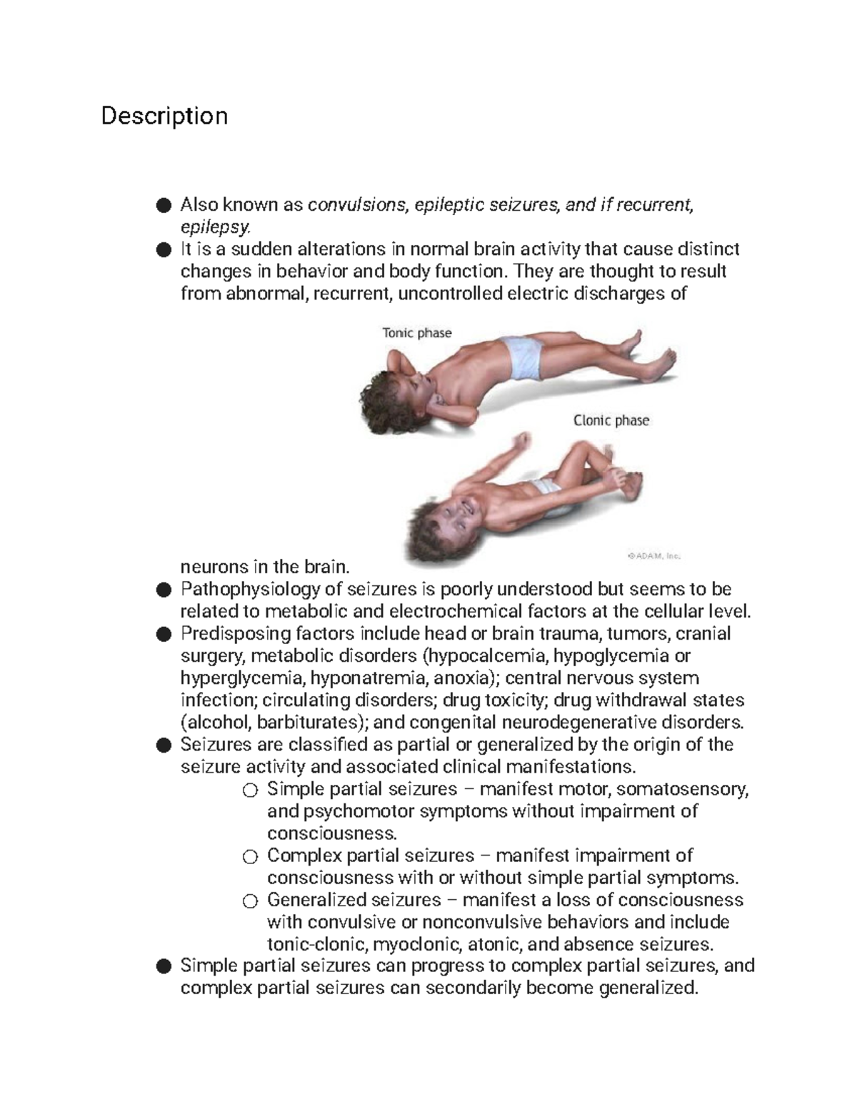 Seizure Disorder - Medical-Surgical Nursing II Instructor Lecture Notes ...