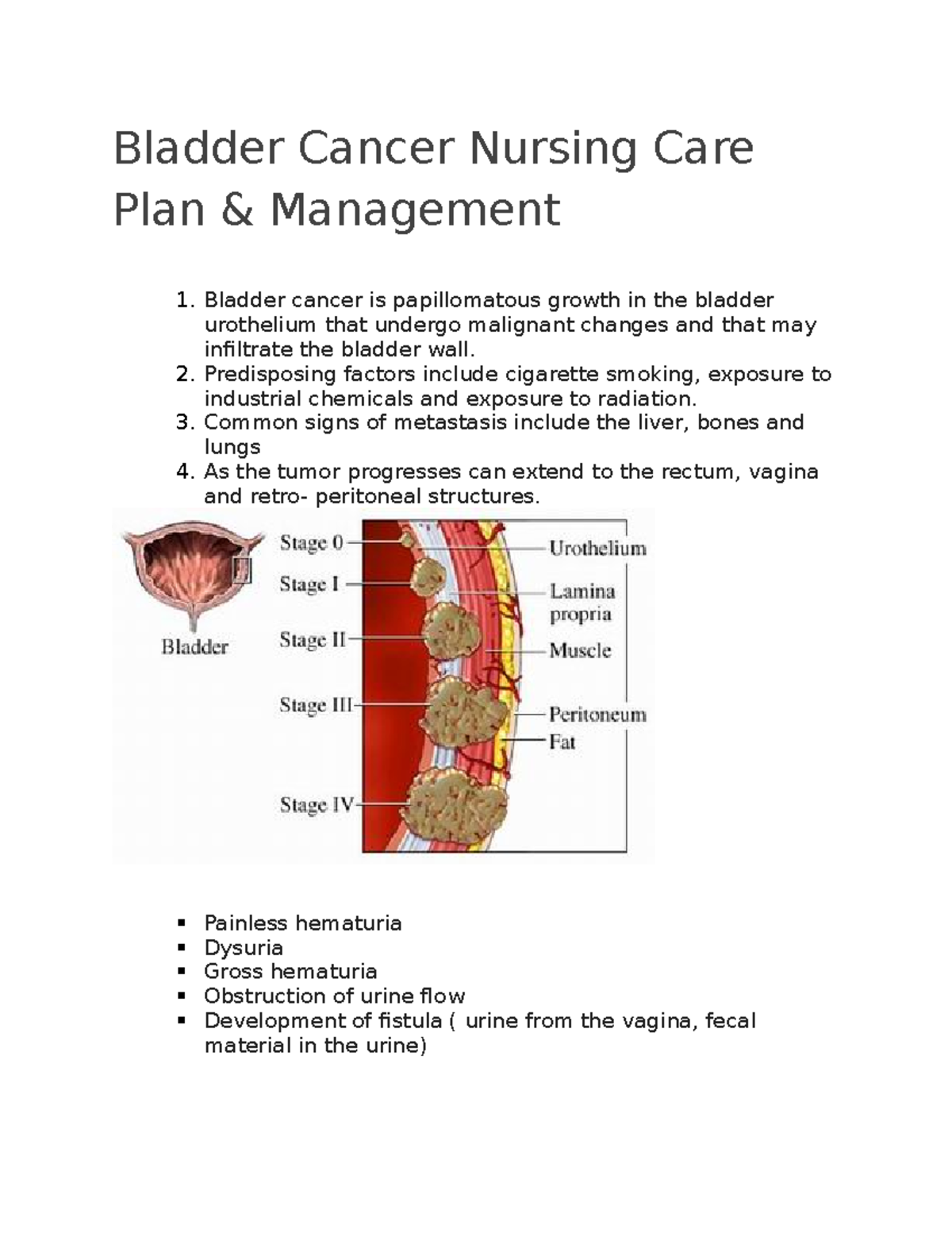 Bladder Cancer Nursing Care Plan Bladder Cancer Nursing Care Plan