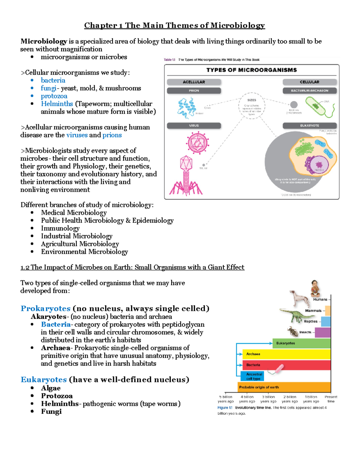 Chapter 1 Outline RK - Chapter 1 The Main Themes of Microbiology ...