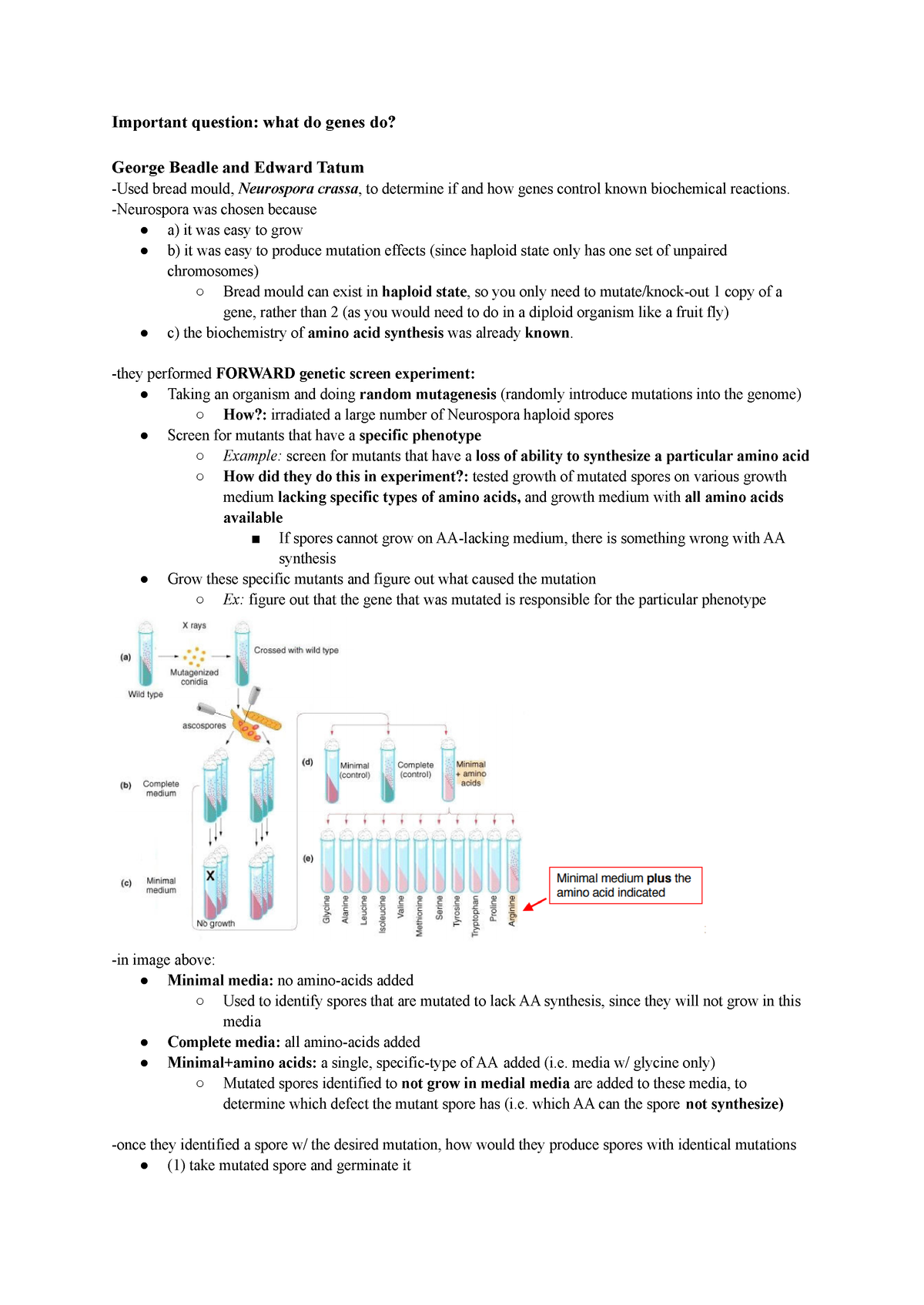 Week 2 Lecture: Molecular Biology Experiments - Sc/Biol 3110 - Yorku ...