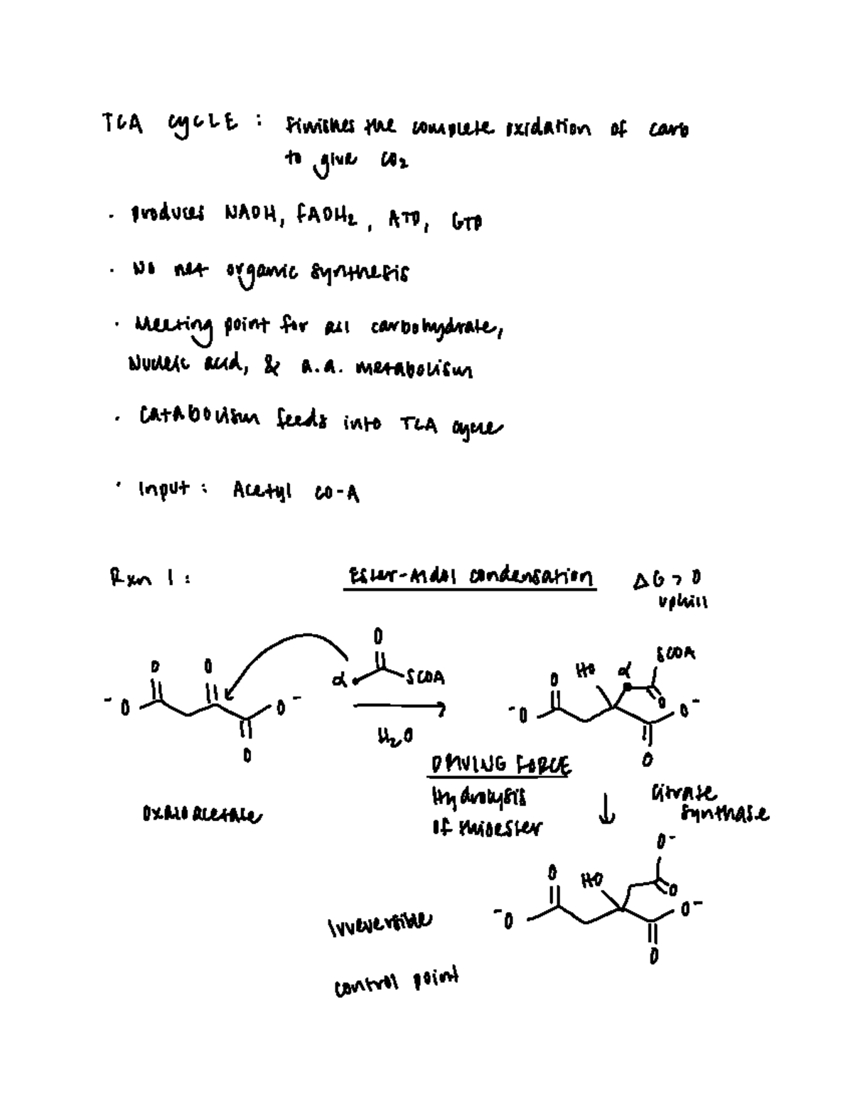 tca cycle notes - TOA cycle finishes the complete oxidation of carb to ...