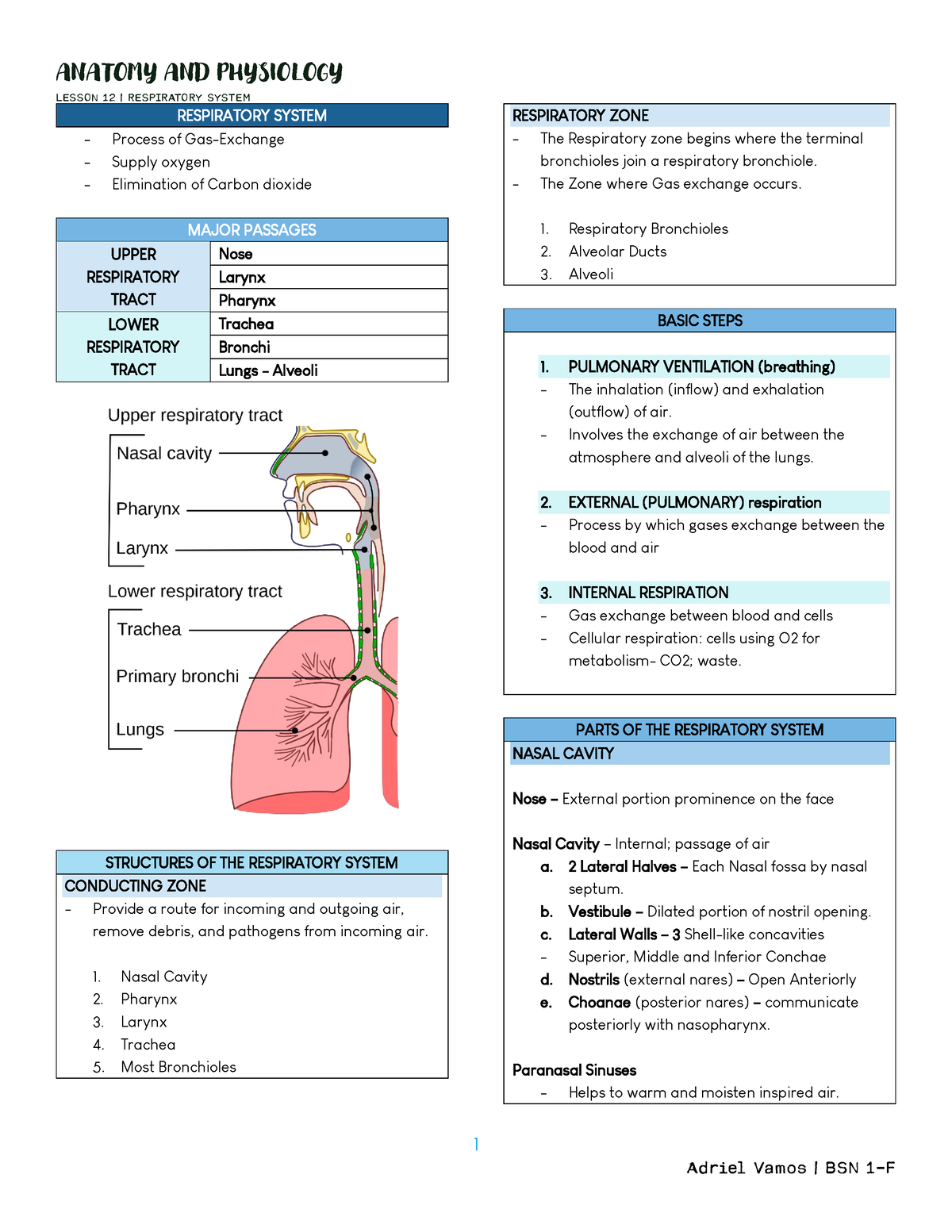 Respiratory System Transes - LESSON 12 | RESPIRATORY SYSTEM 1 ...