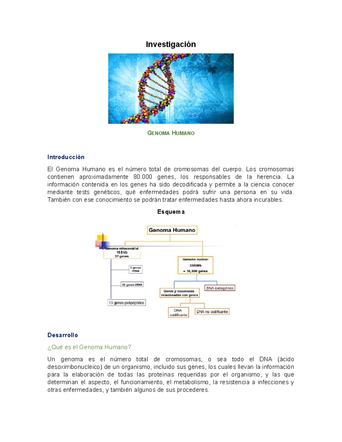Genoma Humano Grade 8 Investigacion Genoma Humano Introduccion El Genoma Humano Es El Numero Studocu
