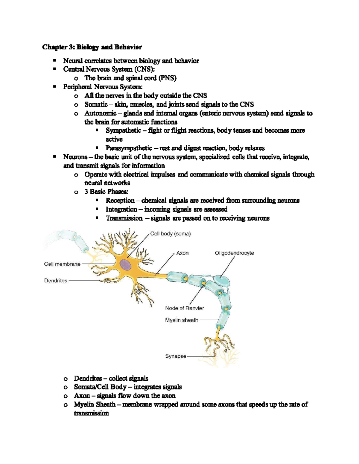 Psychology 101 Chapter 3 - PSYC 101 - Studocu