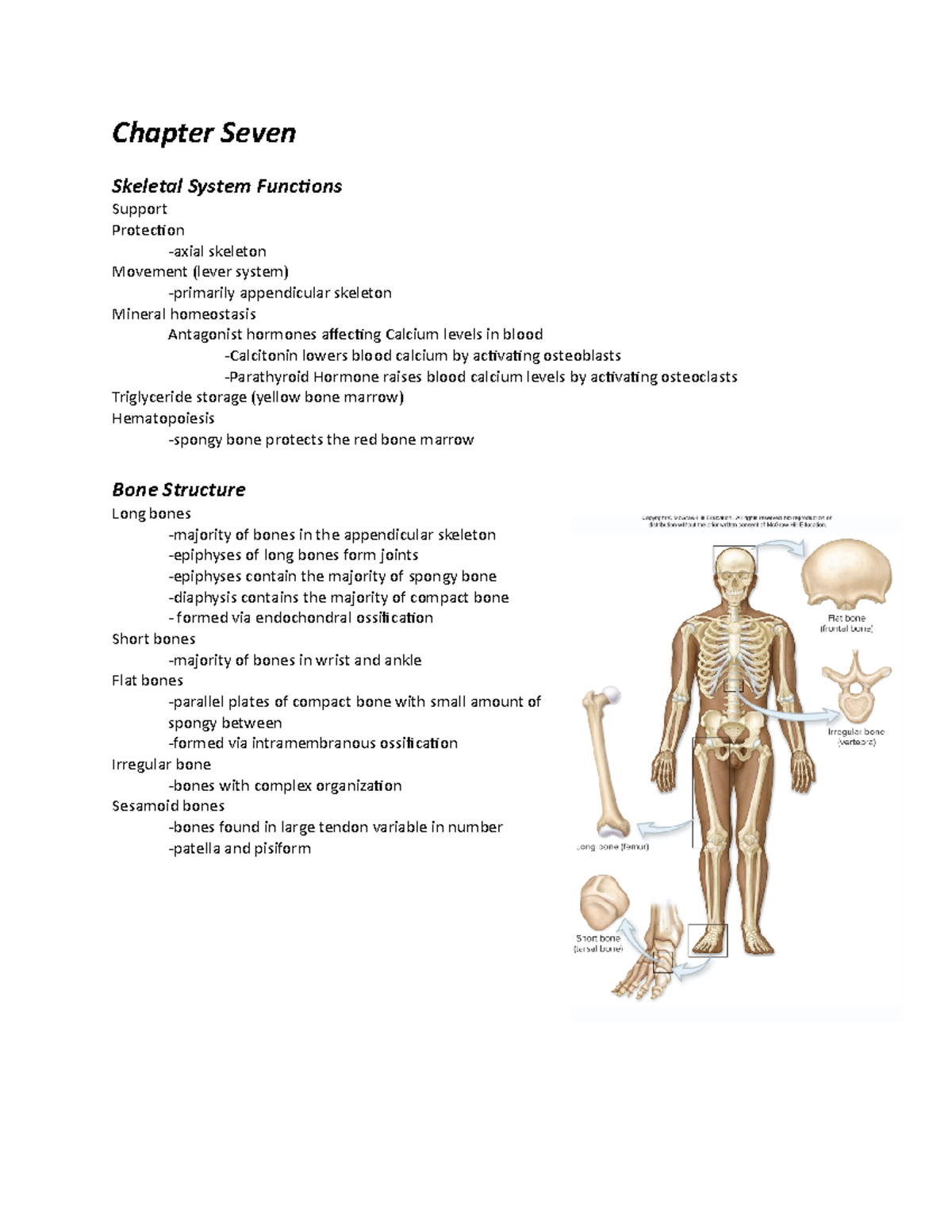 Lecture List of Structures (Ch. 79) Chapter Seven Skeletal System