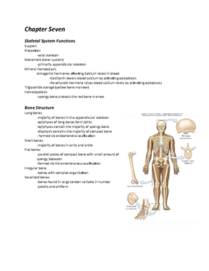 Blood vesseel notes - power point - the heart generates different ...