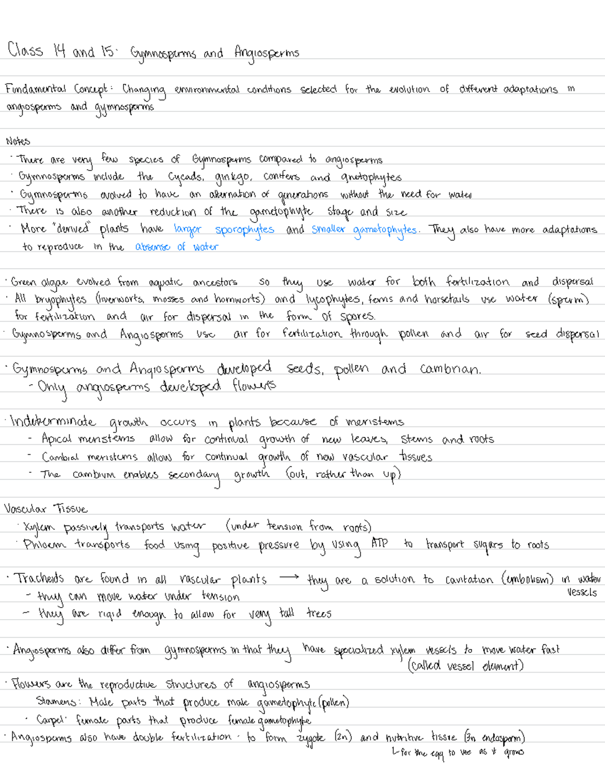 Class 14 and 15- Gymnosperms and Angiosperms - Class 14 and 15 ...