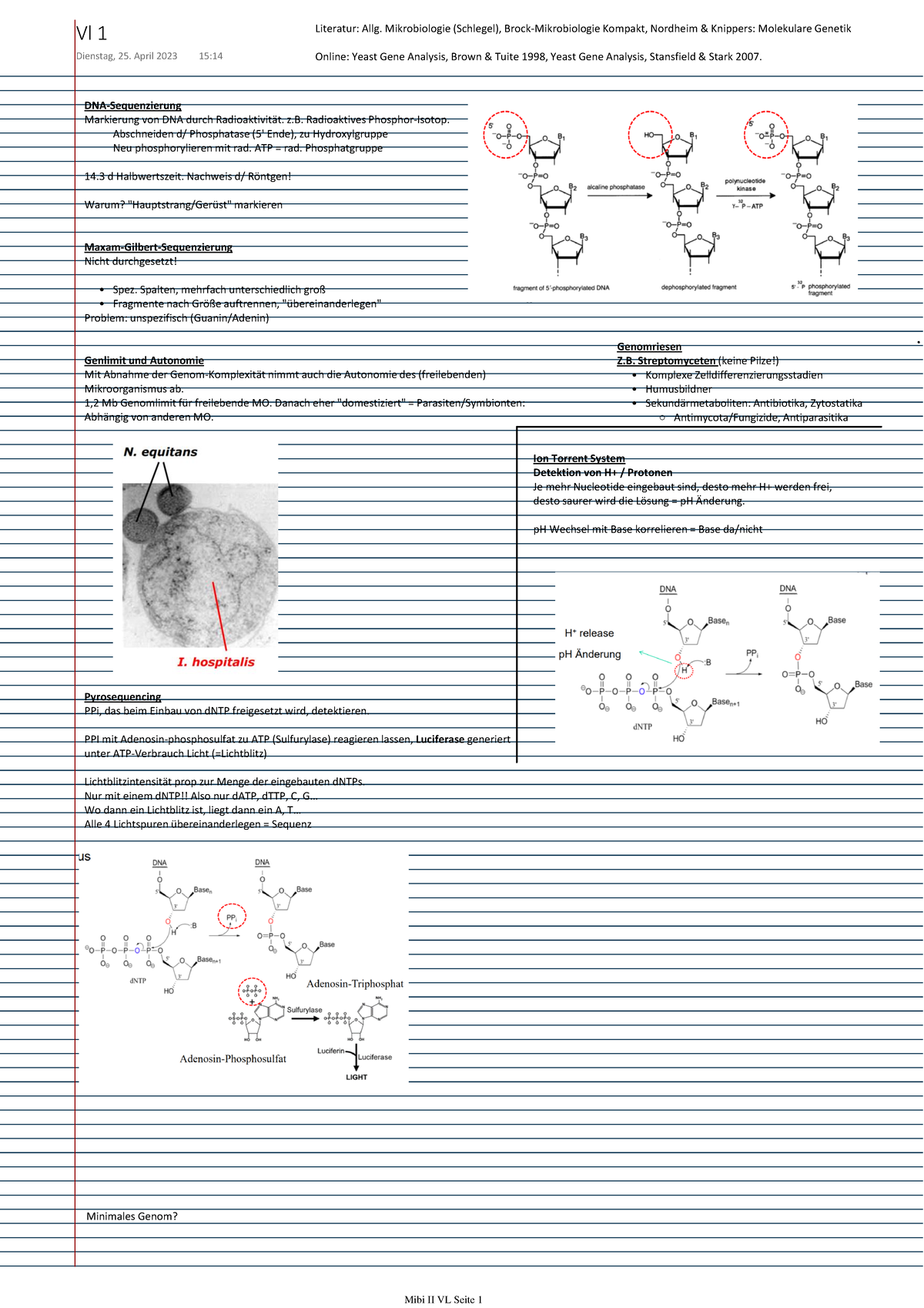 Mibi Mol Methoden II VL1 - Literatur: Allg. Mikrobiologie (Schlegel ...