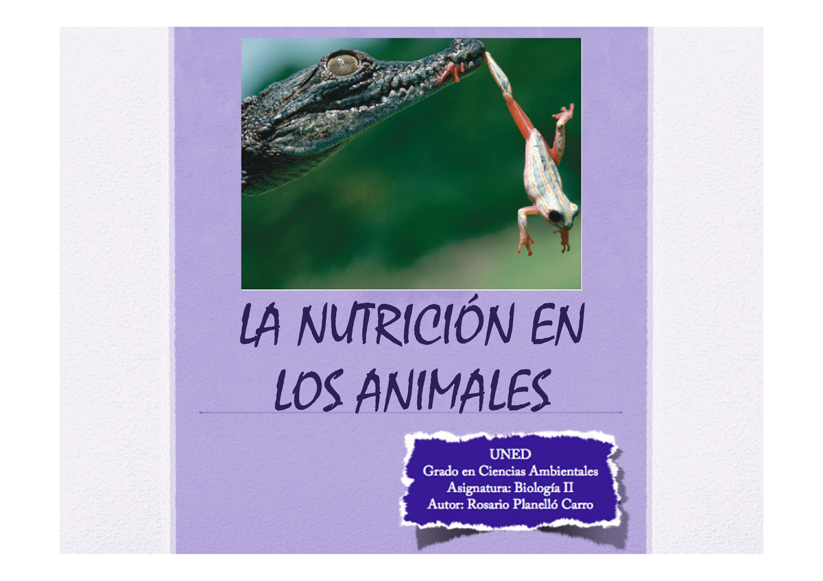 T7. Nutrición animal - LA NUTRICIÓN EN LOS ANIMALES Obtención de energía •  Todos los organismos - Studocu