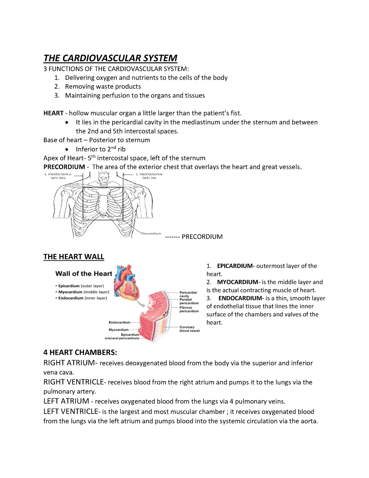 Cardiovascular- System - THE CARDIOVASCULAR SYSTEM 3 FUNCTIONS OF THE ...