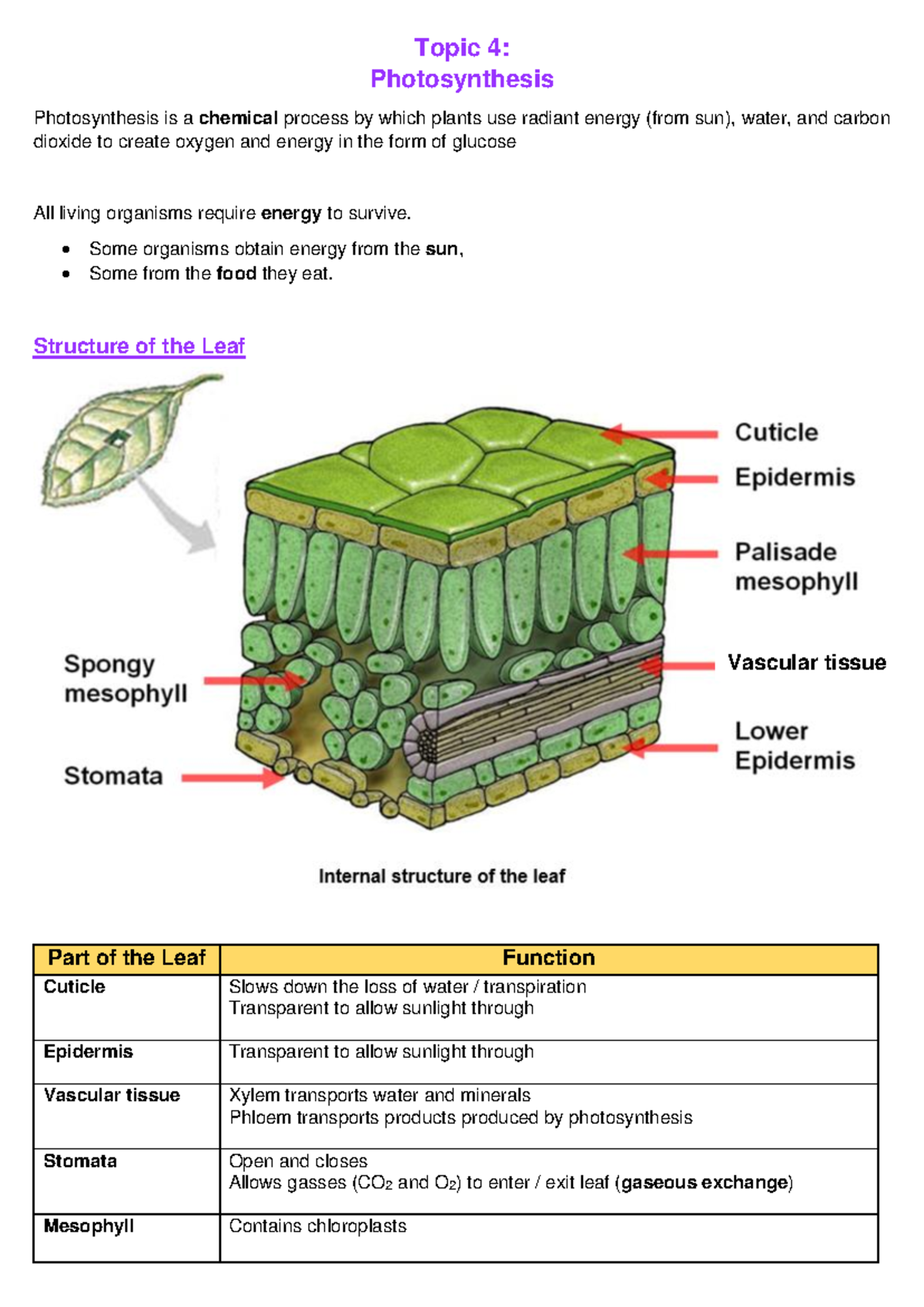LFS - Topic 4 - Photosynthesis - Topic 4: Photosynthesis Photosynthesis ...