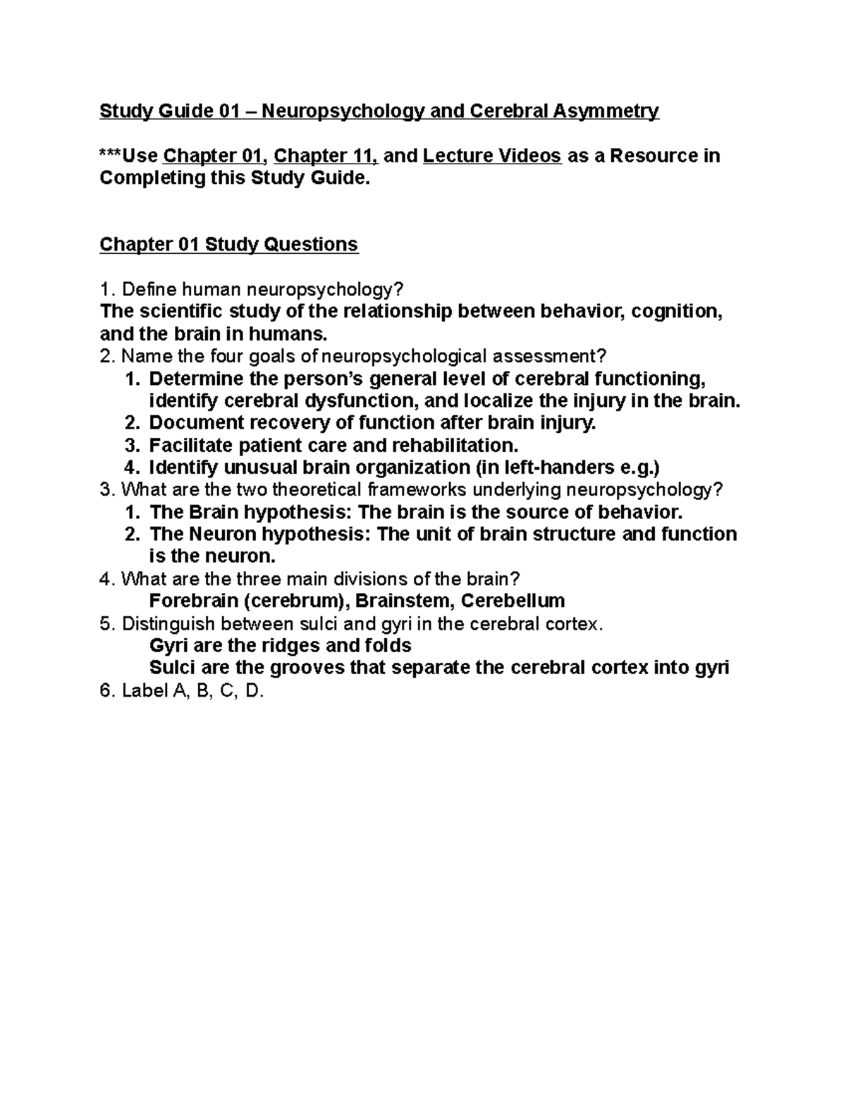 Study Guide 01- Neuropsychology and Cerebral assymetry - Study Guide 01 ...